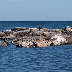 Фото отзыва