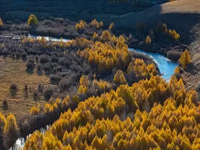 Осень на Алтае