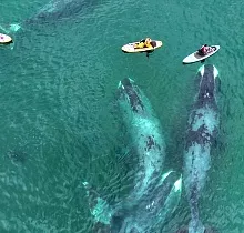 ополнительное фото тура 