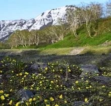 ополнительное фото тура 