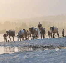 ополнительное фото тура 