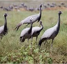 ополнительное фото тура 