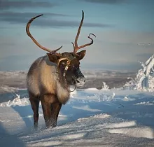 ополнительное фото тура 