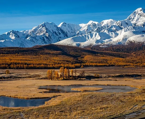 Изображение статьи Фотопутешествие на Горный Алтай из Москвы, золотая осень, 7 дней. Личный опыт Туры России