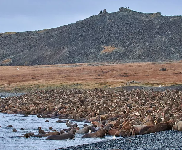 Изображение статьи Отдых на Чукотке: как добраться, где жить, что посмотреть Туры России