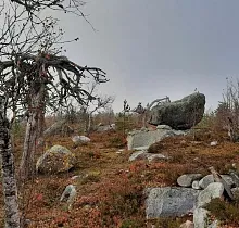 ополнительное фото тура