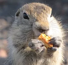 ополнительное фото тура 