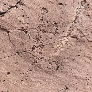 Фото отзыва