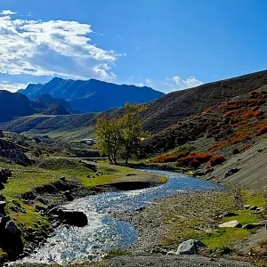 Фото отзыва