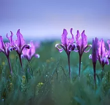 ополнительное фото тура