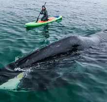 ополнительное фото тура 