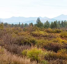 ополнительное фото тура 