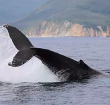 ополнительное фото тура 