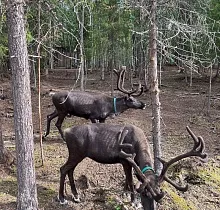 ополнительное фото тура 