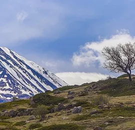 Тур Краски Кавказа - 6 дн/5н 