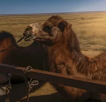 ополнительное фото тура 