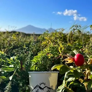 Фото отзыва