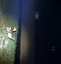 ополнительное фото тура 