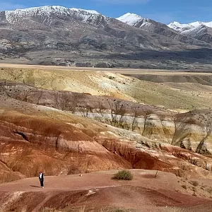 Фото отзыва