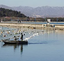 ополнительное фото тура 