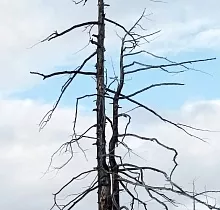 ополнительное фото тура 