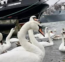 ополнительное фото тура 