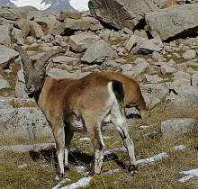 ополнительное фото тура 