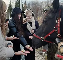 ополнительное фото тура 