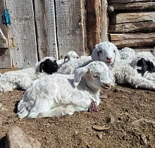 ополнительное фото тура 