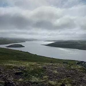Фото отзыва