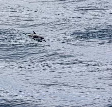 Фото дня 9 тура Сахалин, Итуруп, Шикотан и Кунашир с вулканом Тятя