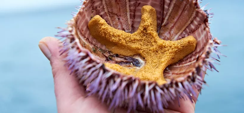 Отдых в Териберке: как добраться, где жить, что посмотреть