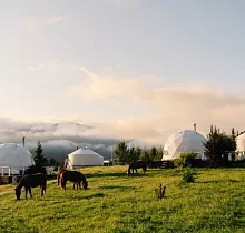 Место проживания в туре 