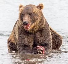 ополнительное фото тура 