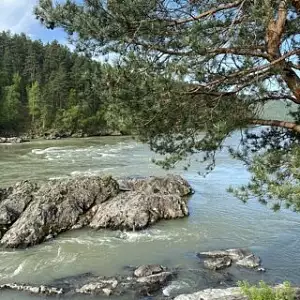 Фото отзыва