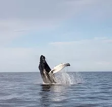 ополнительное фото тура 