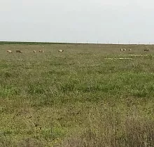 ополнительное фото тура 