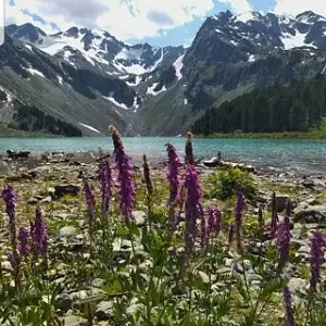 Фото отзыва
