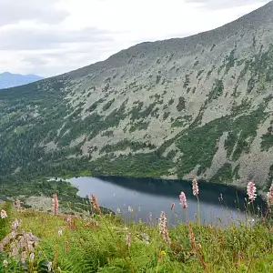 Фото отзыва