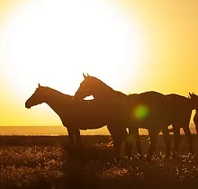 ополнительное фото тура 