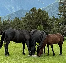 ополнительное фото тура 