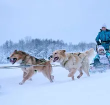 ополнительное фото тура 