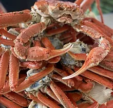 ополнительное фото тура 