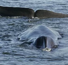 ополнительное фото тура 