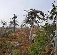 ополнительное фото тура