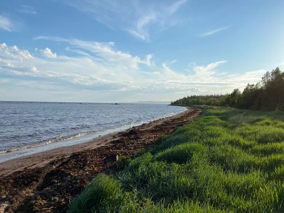 Тур 3 дневное путешествие к Белому морю...