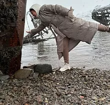 Фото дня 5 тура Два моря Арктики