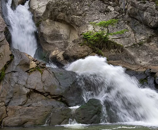 Изображение статьи Экскурсия из Дербента: Национальный Парк Самурский Туры России