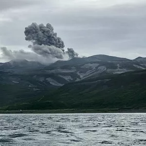 Фото отзыва