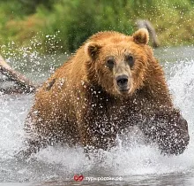 ополнительное фото тура 